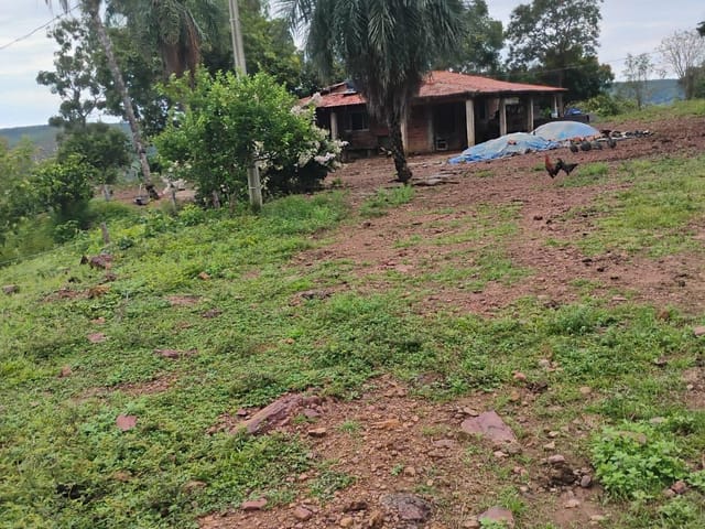 Fazenda 2 quartos e 1 banheiro, à venda, no bairro . em Monte do Carmo