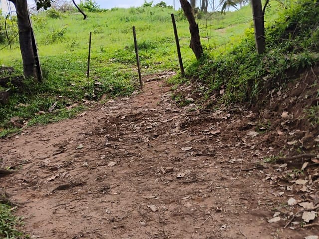 Fazenda 2 quartos e 1 banheiro, à venda, no bairro . em Monte do Carmo
