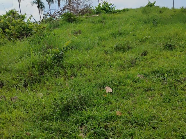 Fazenda 2 quartos e 1 banheiro, à venda, no bairro . em Monte do Carmo