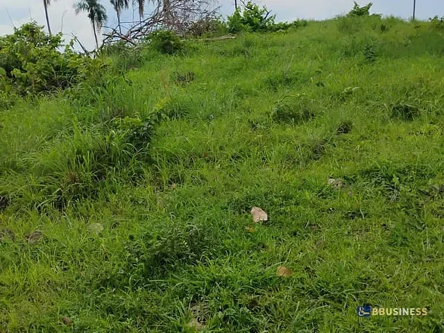Fazenda 2 quartos e 1 banheiro, à venda, no bairro . em Monte do Carmo