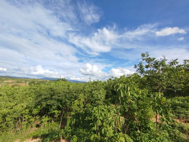 Foto do Fazenda - Fazenda à venda, Zona Rural, Araçuaí, MG | Rede Max Imoveis