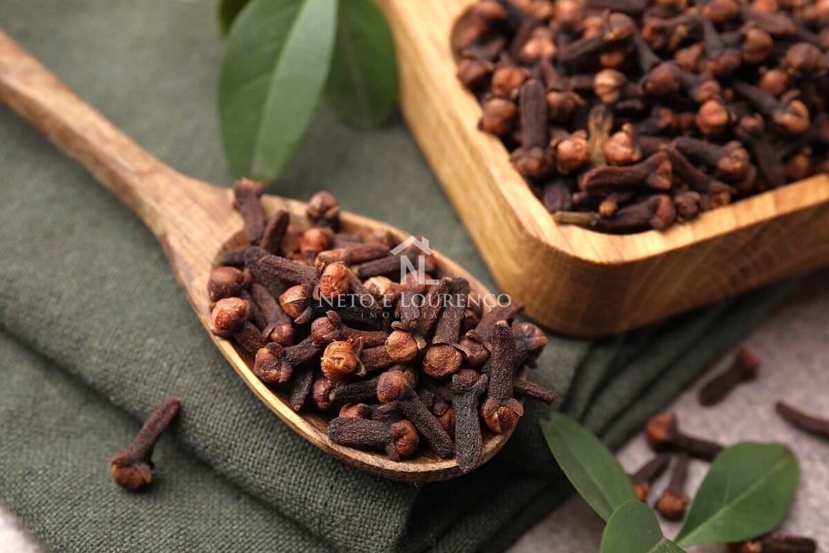 Fazenda-Sítio-Chácara, 2300 m² - Foto 9