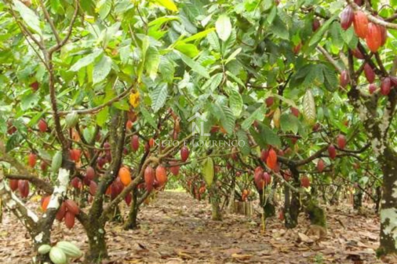Fazenda-Sítio-Chácara, 2300 m² - Foto 16