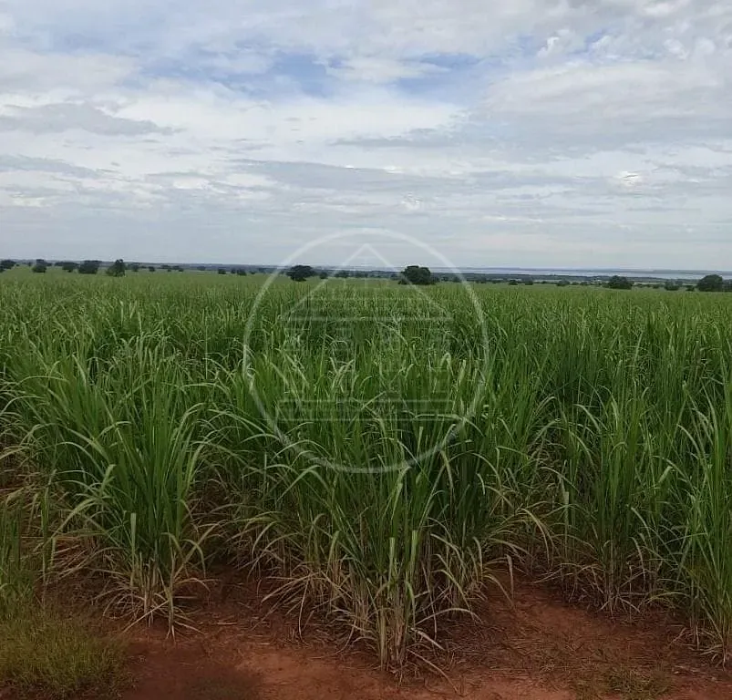 Fazenda, 130 hectares - Foto 11