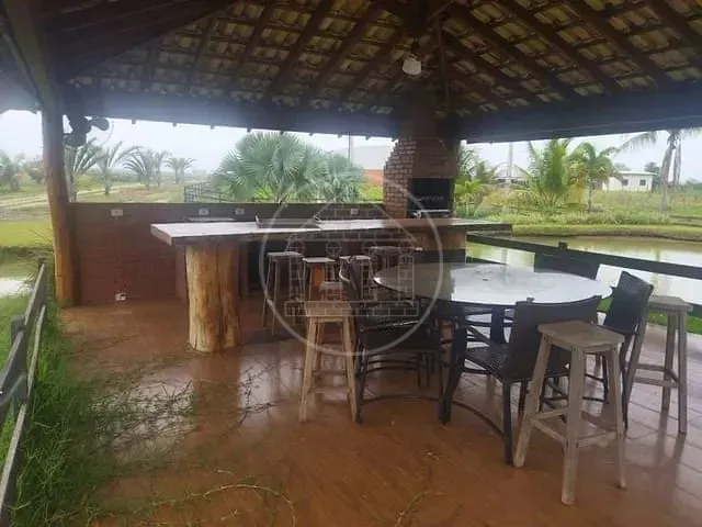 Fazenda, 130 hectares - Foto 4