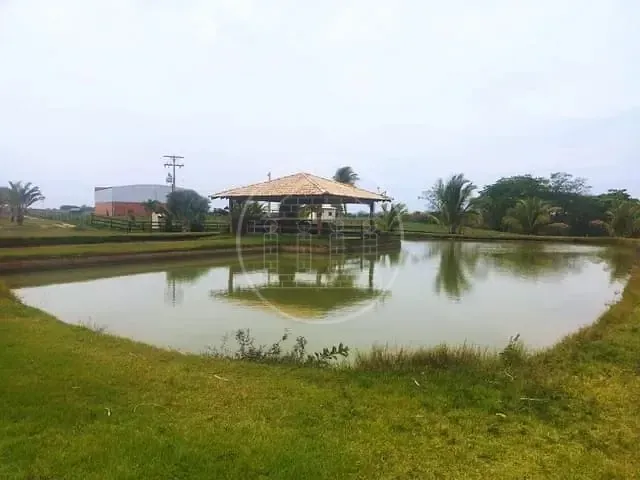 Fazenda, 130 hectares - Foto 6