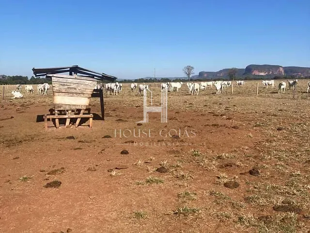 Fazenda com 4230000m² 3 quartos e 3 banheiros, à venda, no bairro 00 em Barra do Garças