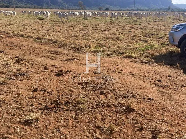 Fazenda com 4230000m² 3 quartos e 3 banheiros, à venda, no bairro 00 em Barra do Garças