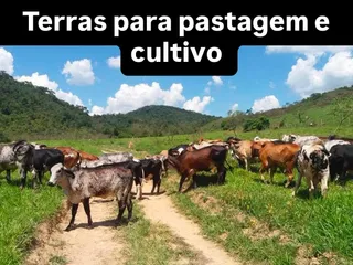 Fazenda à venda em Zona rural, Silveirânia - foto 1