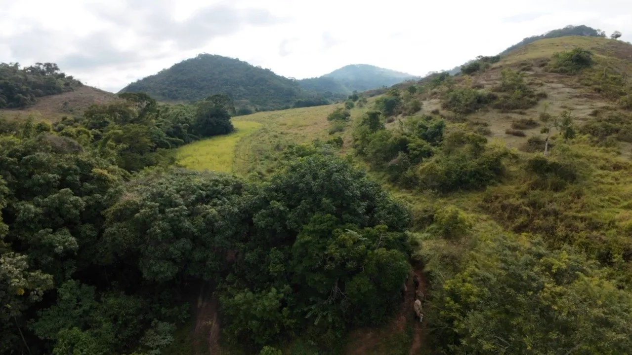 Fazenda à venda, Zona rural, Silveirânia, MG - foto 9
