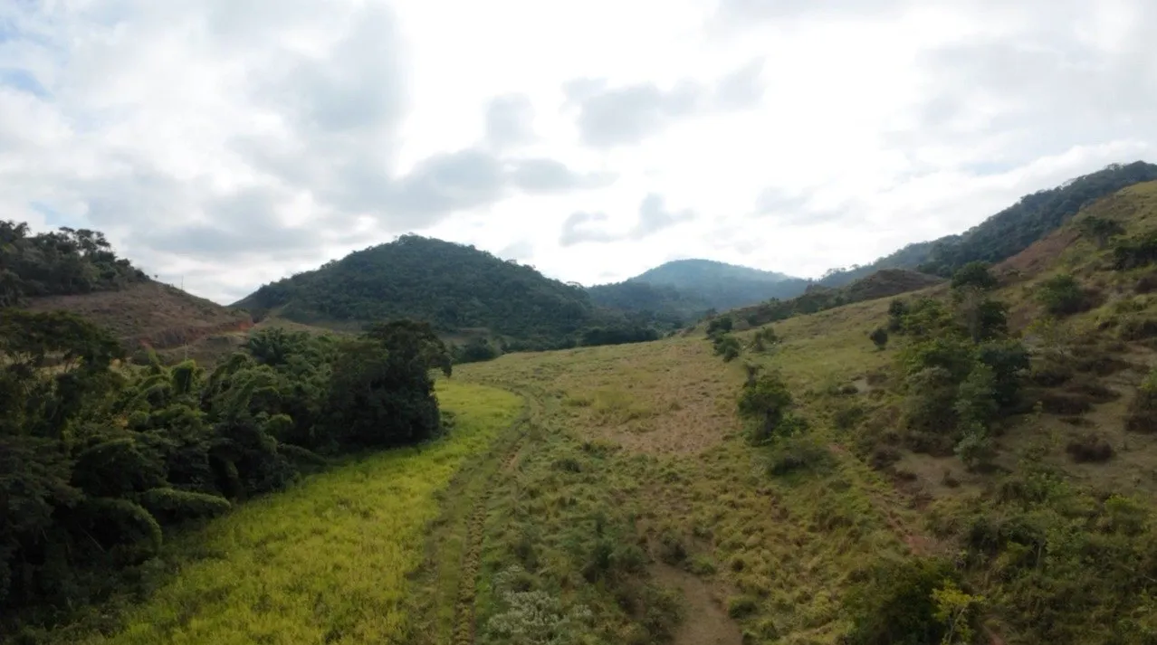 Fazenda à venda, Zona rural, Silveirânia, MG - foto 11