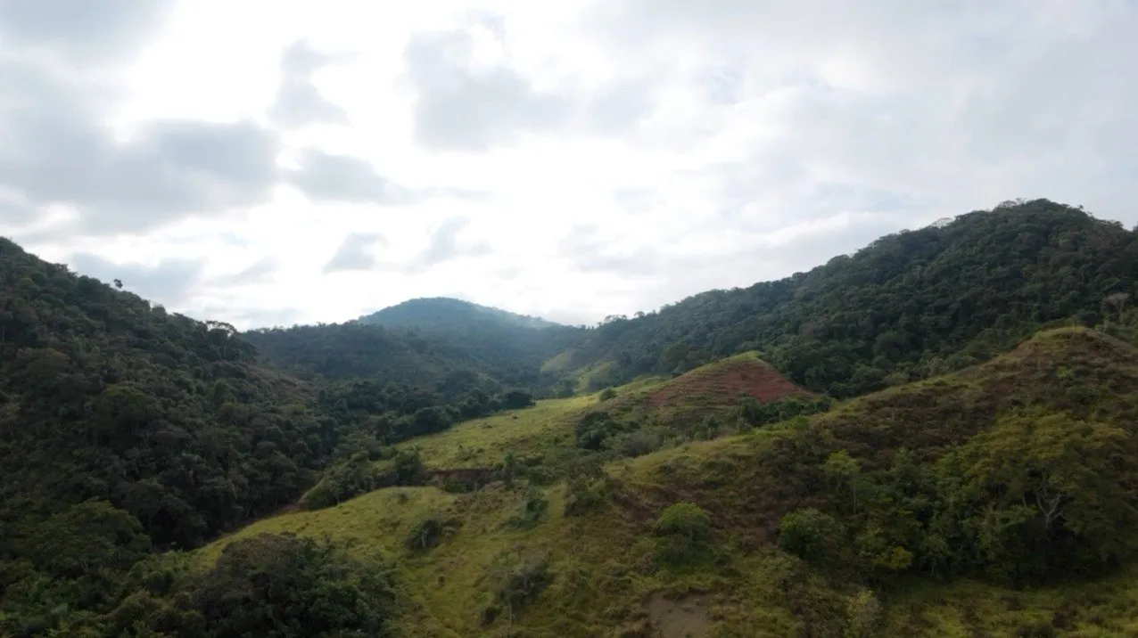 Fazenda à venda, Zona rural, Silveirânia, MG - foto 12