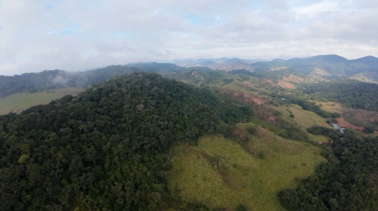 Fazenda à venda, Zona rural, Silveirânia, MG - foto 13