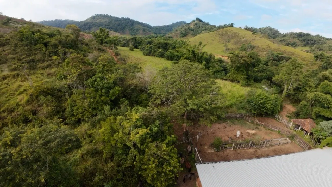 Fazenda à venda, Zona rural, Silveirânia, MG - foto 14