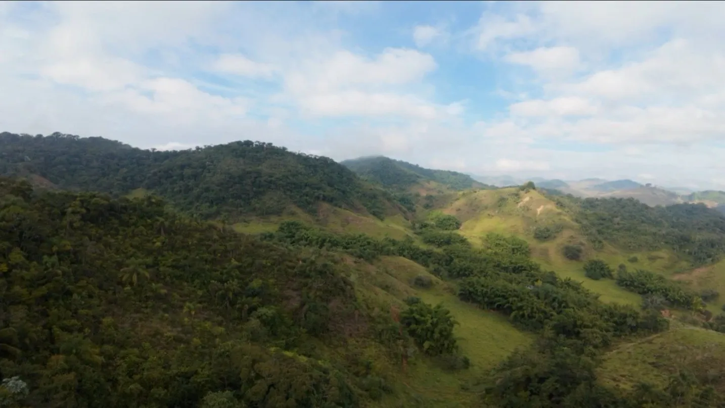Fazenda à venda, Zona rural, Silveirânia, MG - foto 10