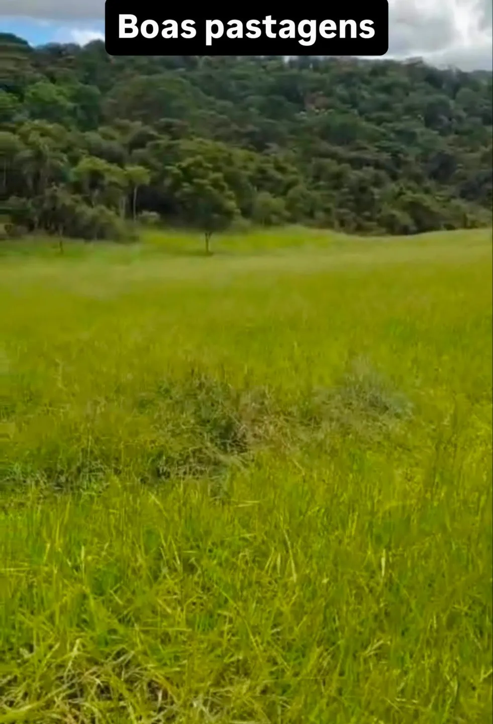 Fazenda à venda, Zona rural, Silveirânia, MG - foto 6