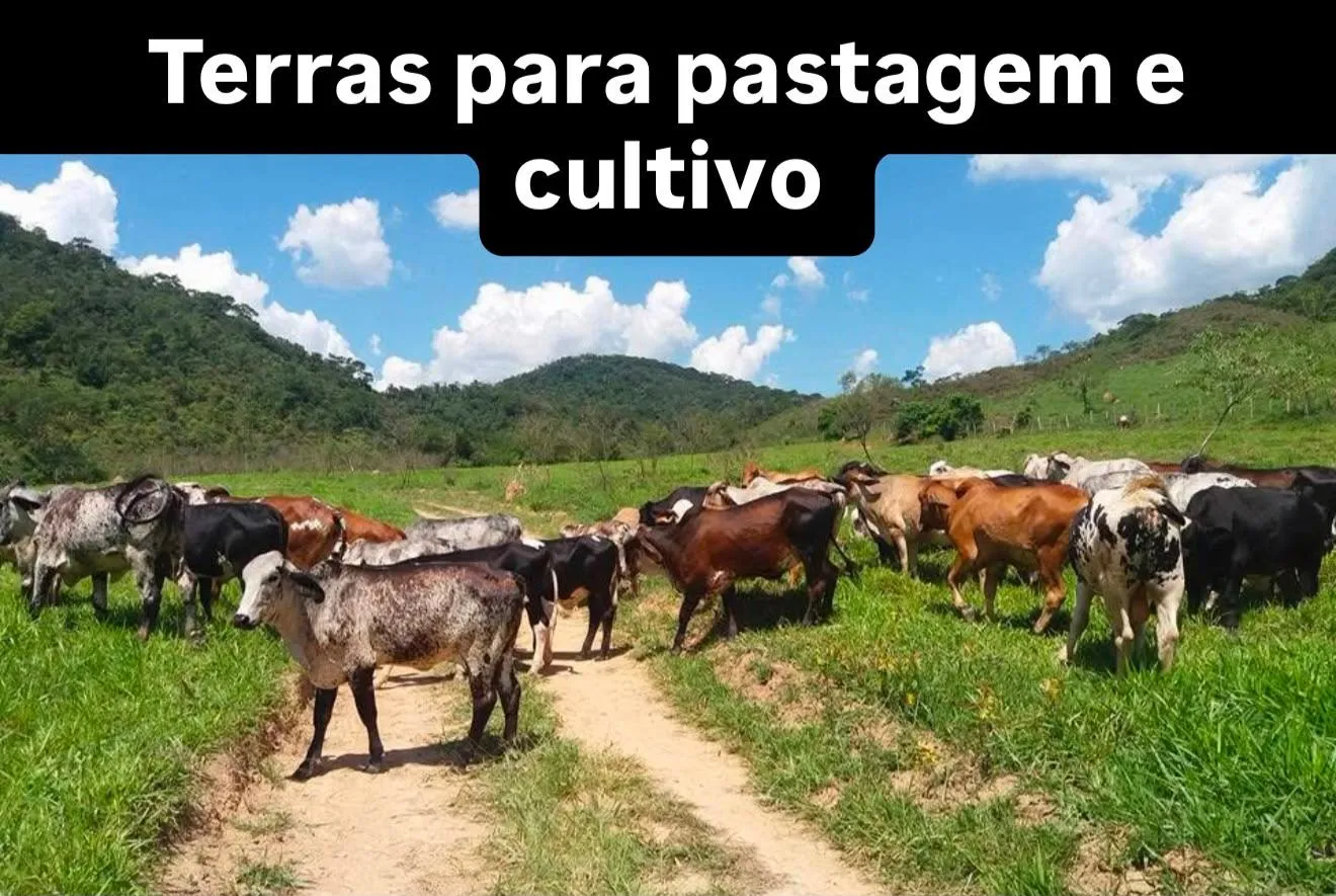Fazenda à venda, Zona rural, Silveirânia, MG - foto 1