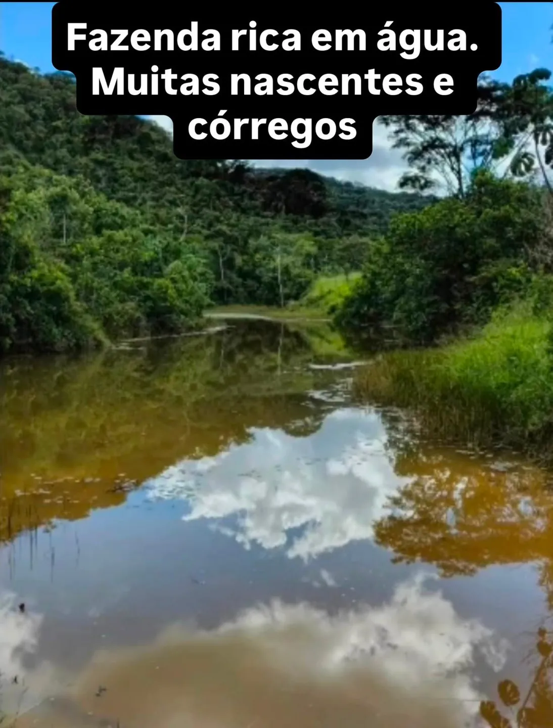 Fazenda à venda, Zona rural, Silveirânia, MG - foto 2