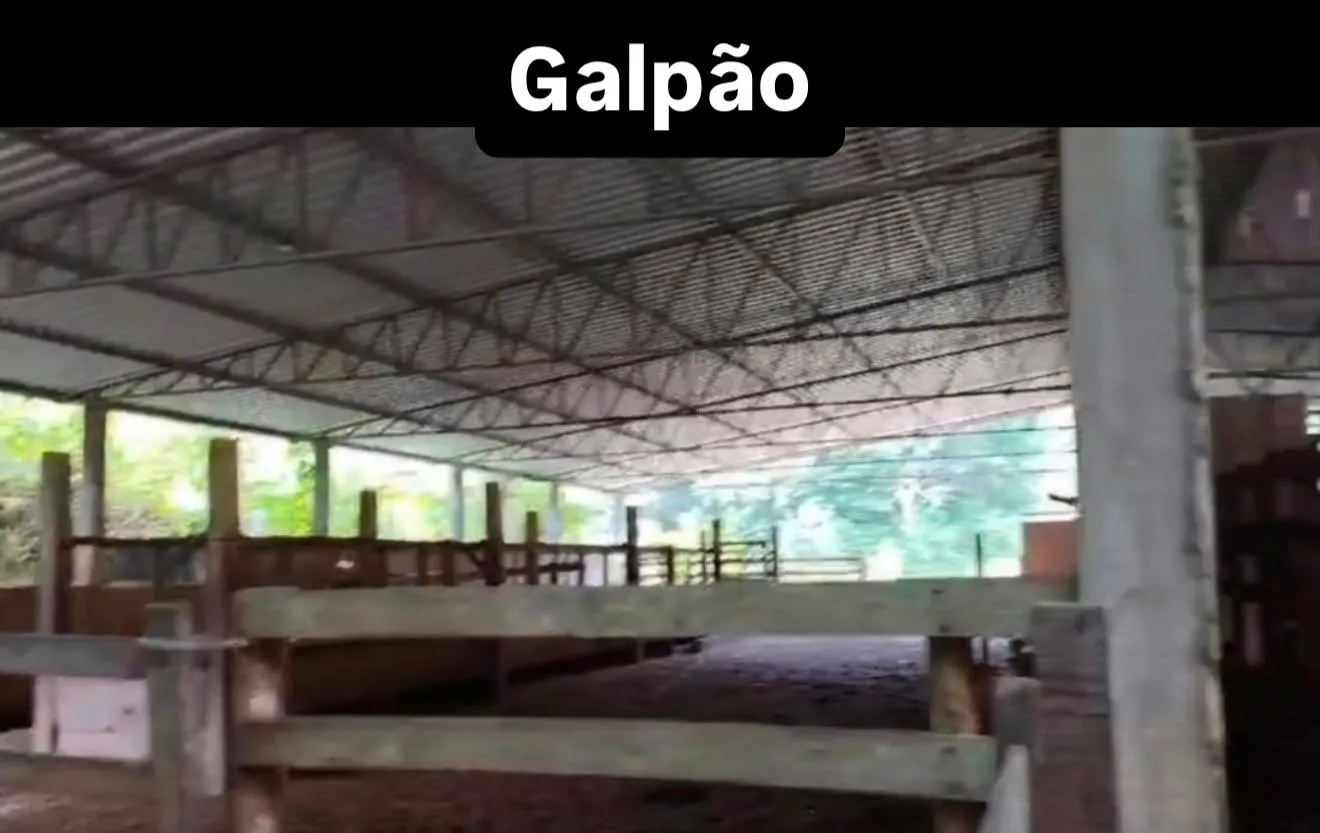 Fazenda à venda, Zona rural, Silveirânia, MG - foto 4