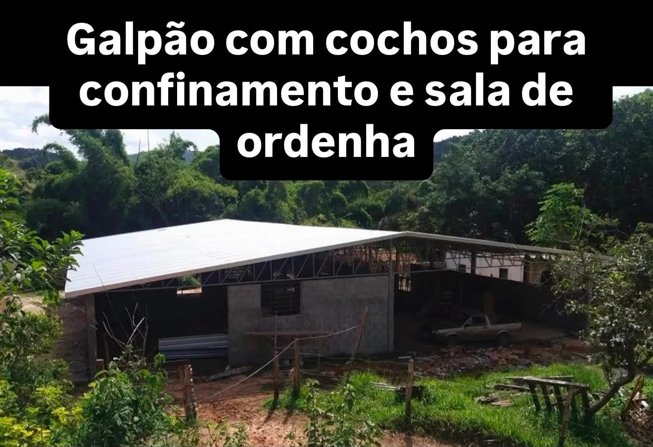 Fazenda à venda, Zona rural, Silveirânia, MG - foto 5
