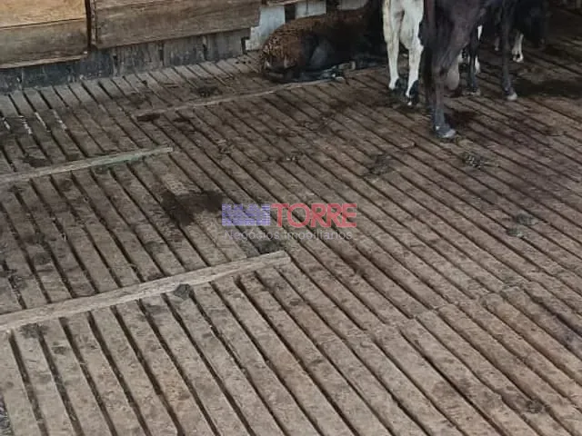 Fazenda com 3110000m² 2 quartos e 2 banheiros, à venda, no bairro Centro em Itabuna