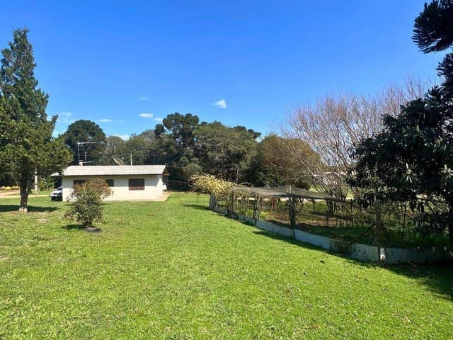 Fazenda com 503000m² 8 quartos e 4 banheiros, à venda, no bairro Vila Seca em Caxias do Sul