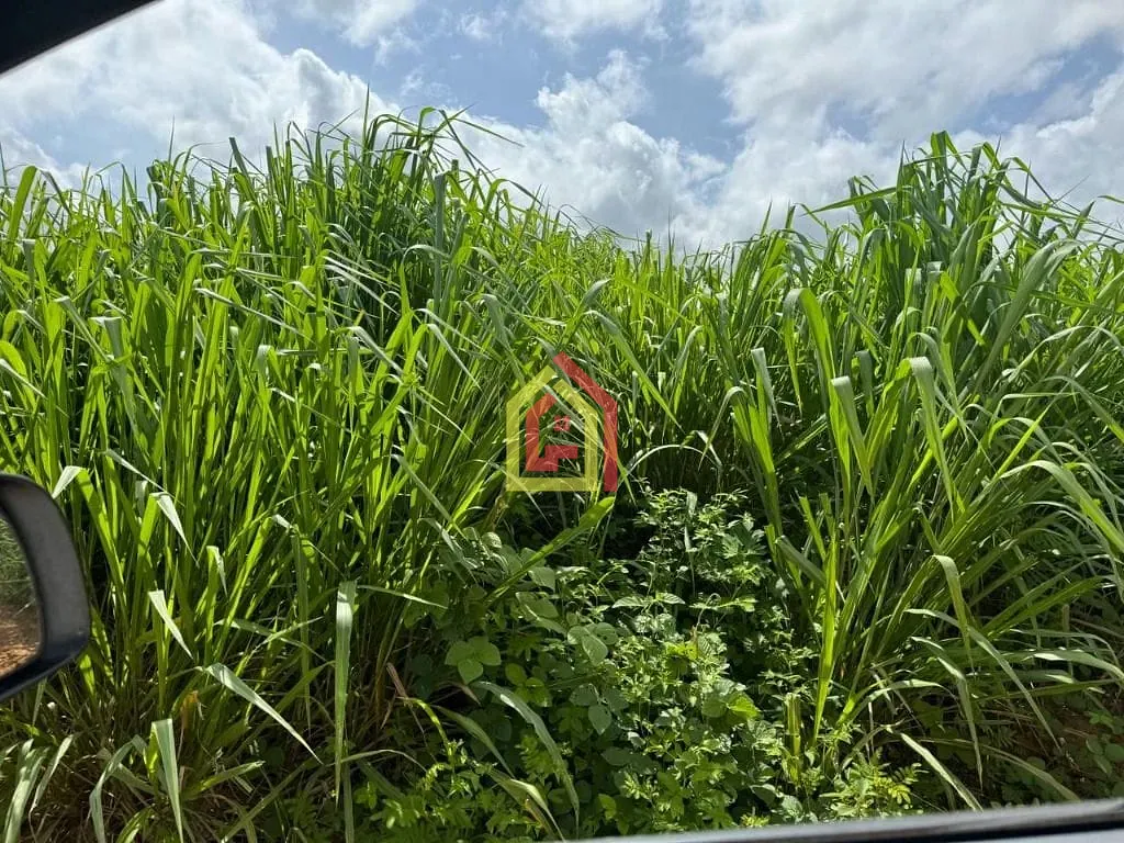 Rural à venda com 10067200m² de terreno no Zona Rural, Novo Repartimento (PA) — foto 8 de 9