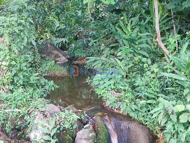 Fazenda com 1290000m² 4 quartos e 3 banheiros, à venda, no bairro Zona Rural em Floresta Azul
