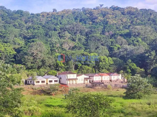 Fazenda com 1290000m² 4 quartos e 3 banheiros, à venda, no bairro Zona Rural em Floresta Azul