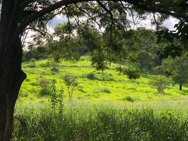 Fazenda com 96800m² 3 quartos e 1 banheiro, à venda, no bairro zona rural em Santa Cruz de Goiás