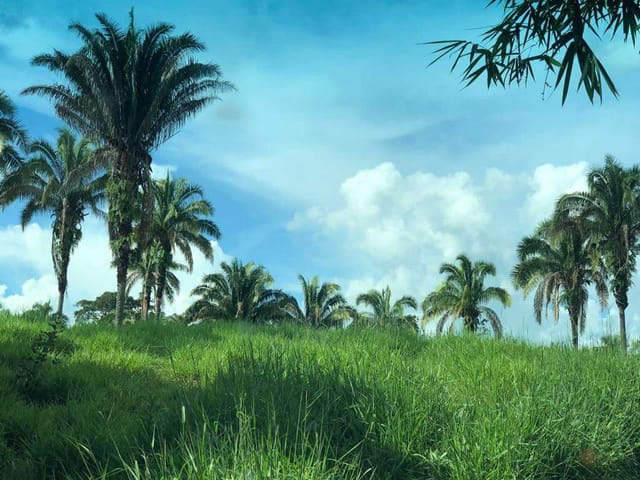 Fazenda com 96800m² 3 quartos e 1 banheiro, à venda, no bairro zona rural em Santa Cruz de Goiás