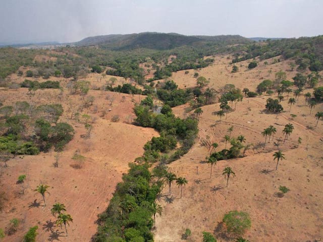 Fazenda com 96800m² 3 quartos e 1 banheiro, à venda, no bairro zona rural em Santa Cruz de Goiás