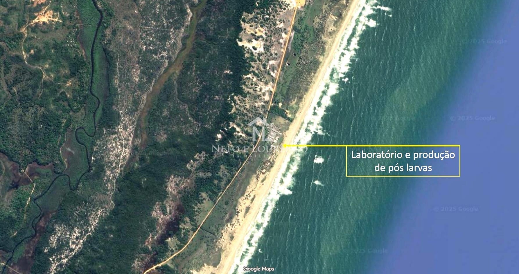 Fazenda, 1567 m² - Foto 5