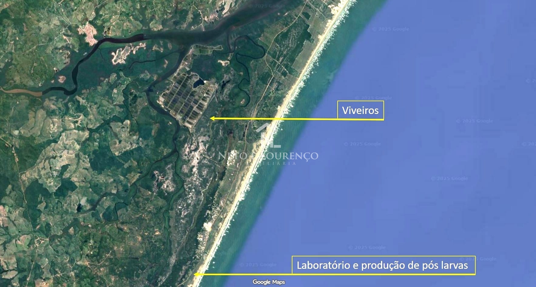 Fazenda, 1567 m² - Foto 3