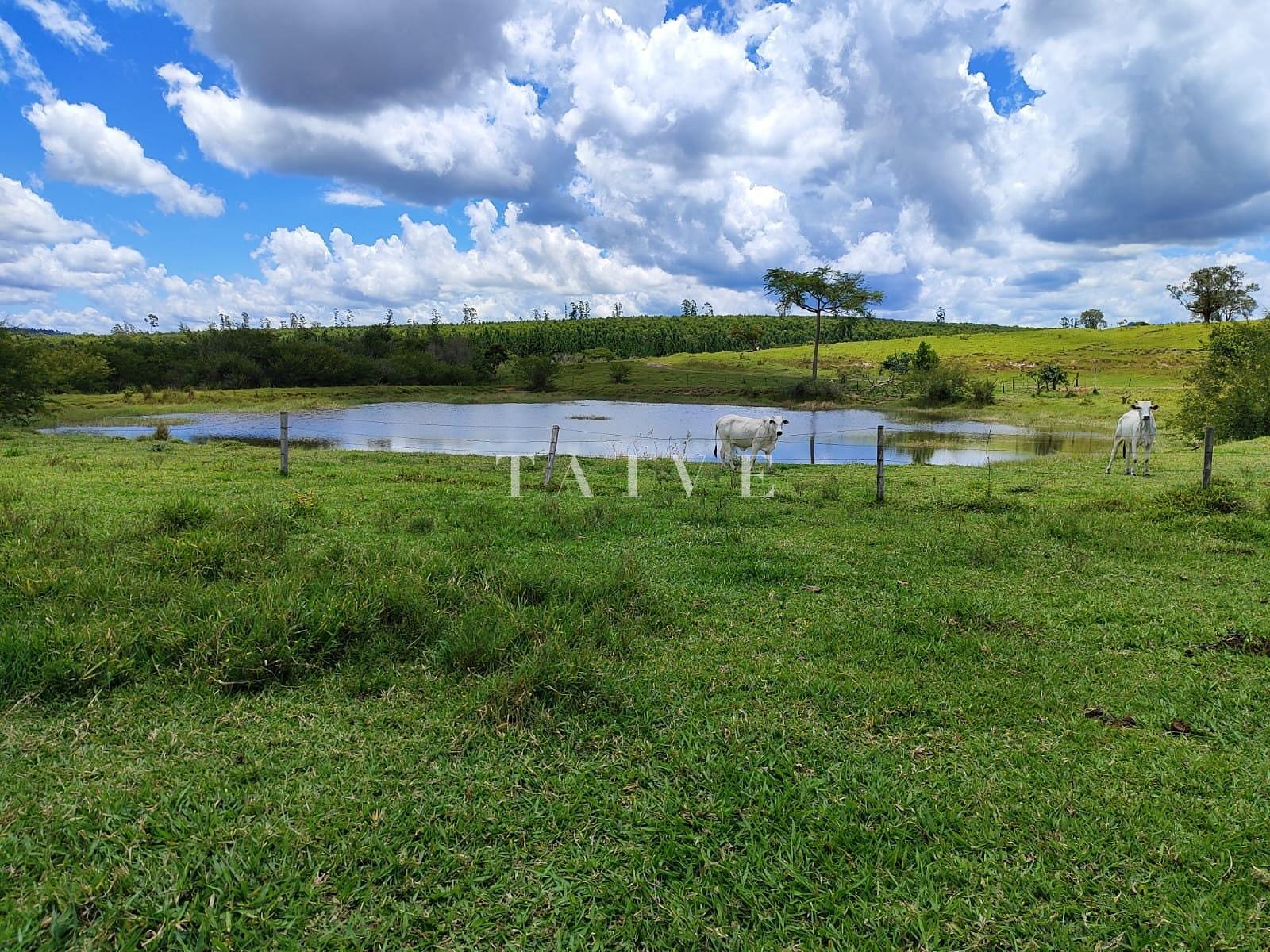 Fazenda à venda, 10m² - Foto 2