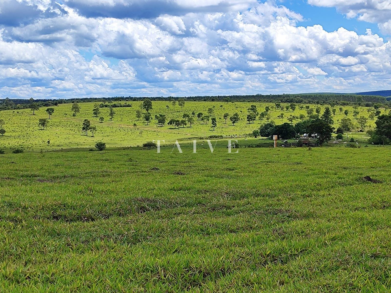 Fazenda à venda, 10m² - Foto 7