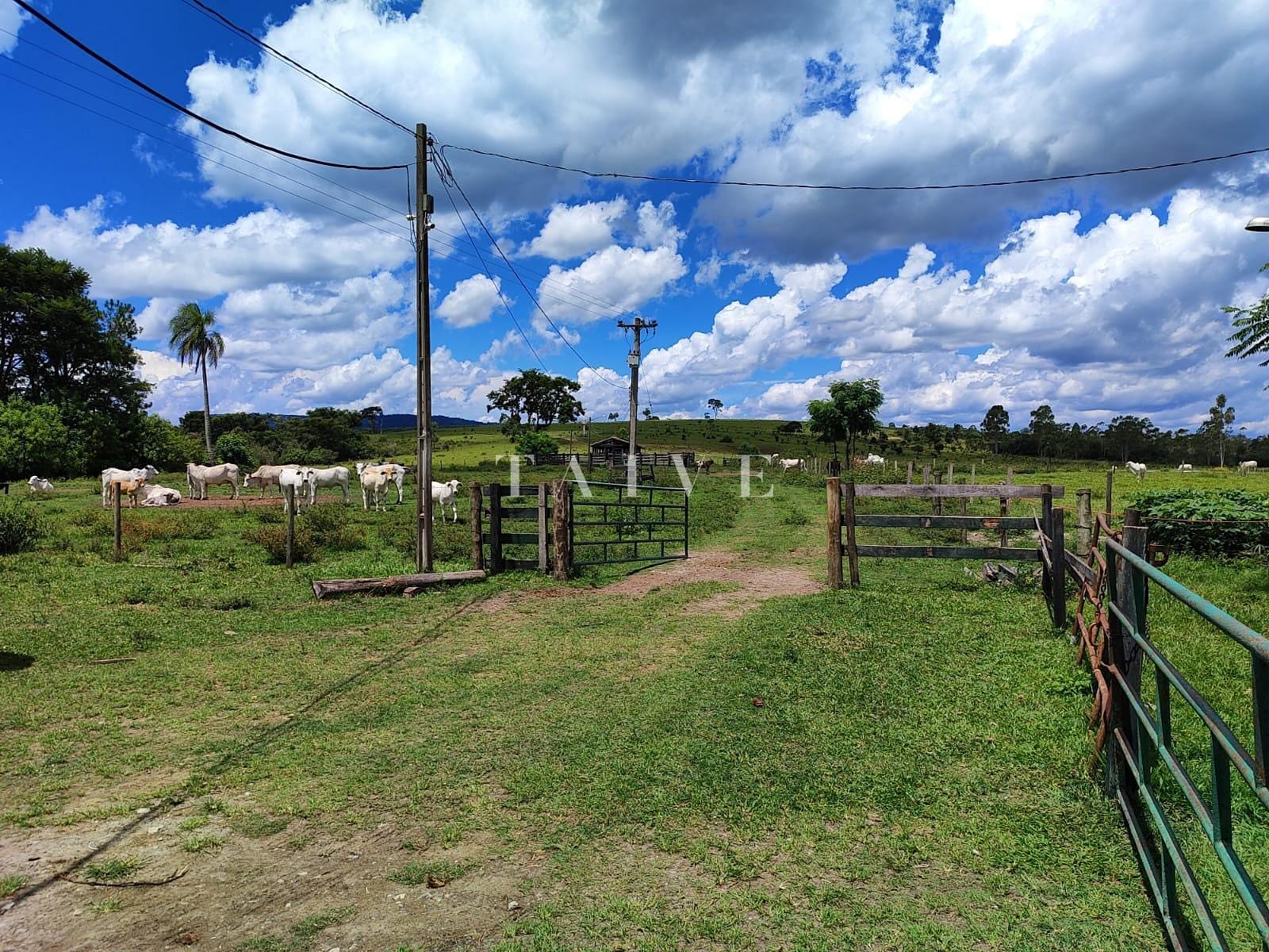 Fazenda à venda, 10m² - Foto 9