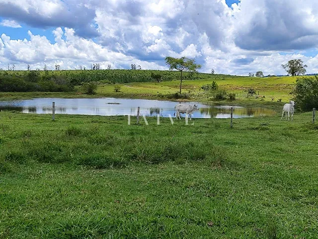 Fazenda com 7114800m², à venda, no bairro Área Rural de Botucatu em Botucatu