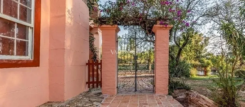 Fazenda, 131 hectares - Foto 20