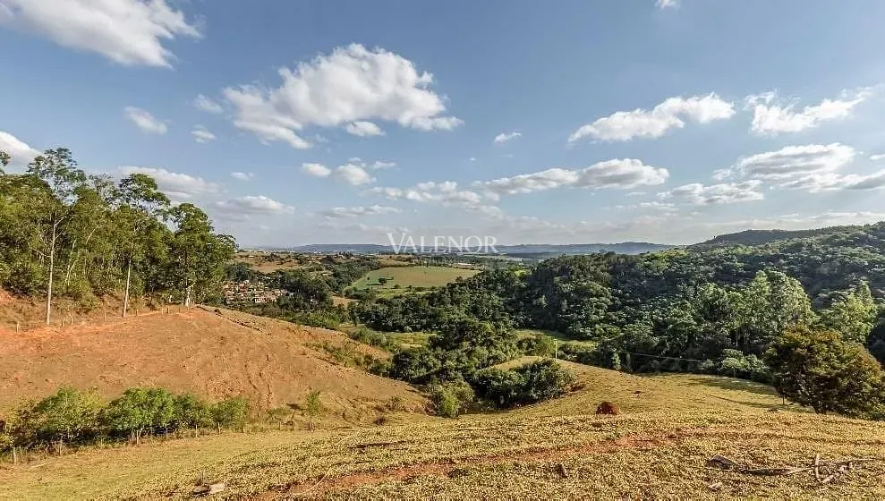 Fazenda, 131 hectares - Foto 26