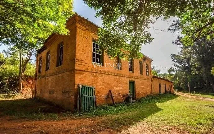 Fazenda, 131 hectares - Foto 18