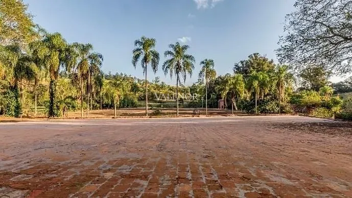 Fazenda, 131 hectares - Foto 13