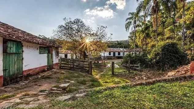 Fazenda, 131 hectares - Foto 27