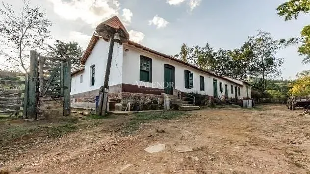 Fazenda, 131 hectares - Foto 28