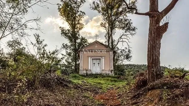Fazenda, 131 hectares - Foto 19