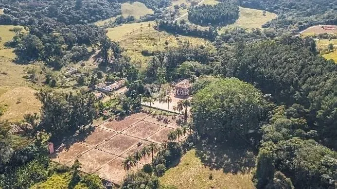 Fazenda, 131 hectares - Foto 16