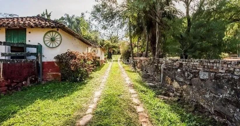 Fazenda, 131 hectares - Foto 21