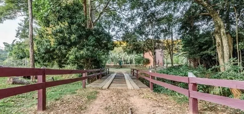 Fazenda, 131 hectares - Foto 22