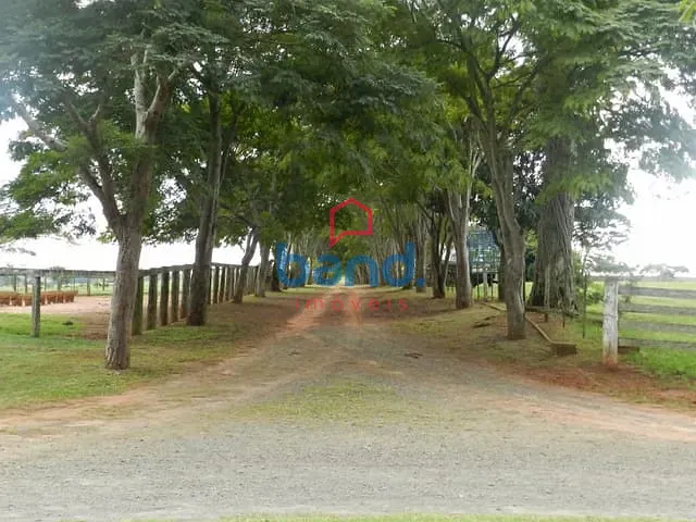 Fazenda com 3025000m², à venda, no bairro Turvinho em Quadra