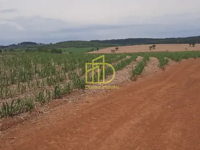 Fazenda com 1936000m², à venda, no bairro Guarapó em Quadra